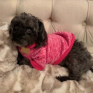 Meet your Posher, Meagan